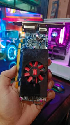 Amd
