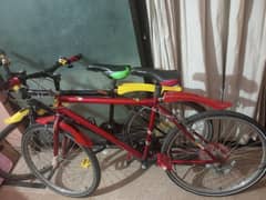 cycle