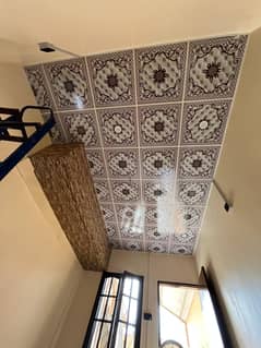False ceiling 2/2