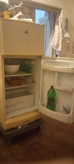 urgent sale freezer pel   company good conditioning
