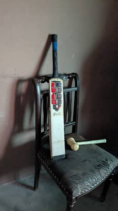 English willow bat fully knocked