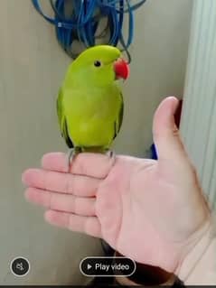 No