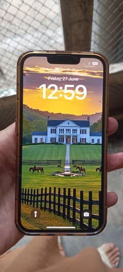 13 pro non pta onic esim working