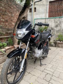 Yamaha