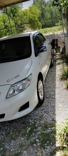 Toyota Corolla xli  white