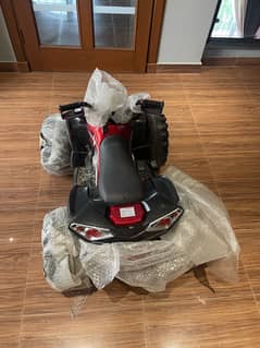 Electric Quad bike