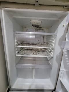 Extra Large Waves  Refrigerator