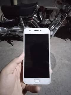Oppo