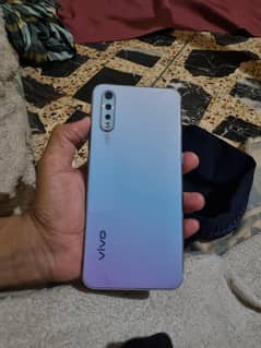 vivo
