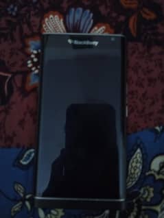 blackberry
