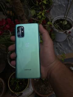 one plus urgent sale
