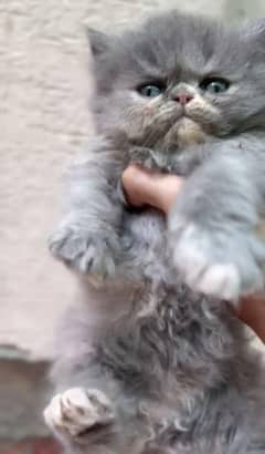 Peki