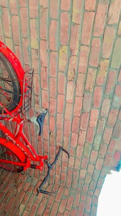 helux cycle