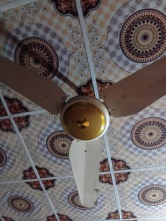 fan pak