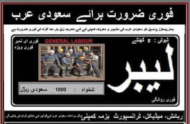 Sudia