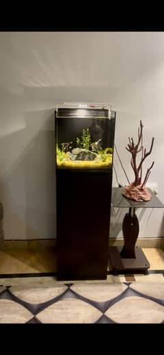 Selling my Oscar fish and Aquarium