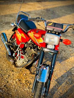2021 model Mardan number