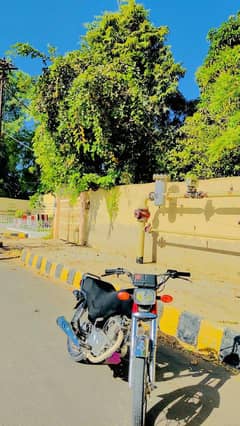 125 super star for sale