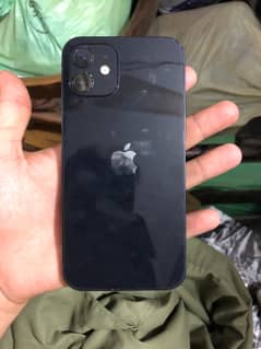 iPhone 12