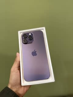 03202400977