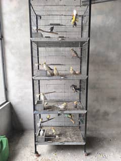 cocktail / breeding cage / box / feed pot