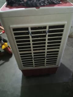 12v