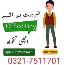 Office boy/cleaner/office job/office handler