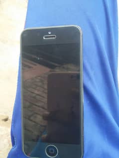 aal ok youtube availble betry new dalwani pry gi porani betry khrab ha