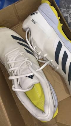 Adidas Cricket Spikes