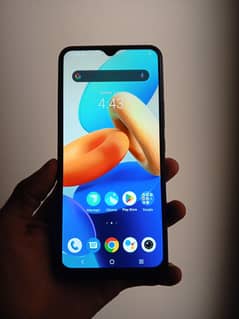 vivo