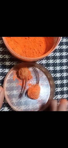 Geedar singhi Pair For Sale