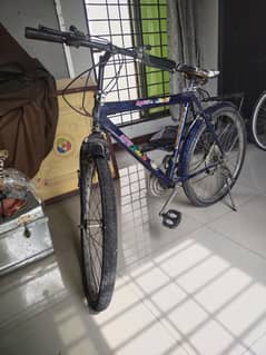 Mountain bike