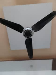 5 ceiling fans for sale