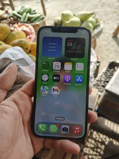 Apple iPhone 12