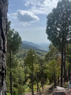 Main Murree expressway 3,4,5,7,10 marla & 1 kanal plots available