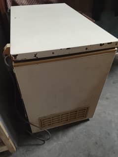 Wewz Deep Freezer