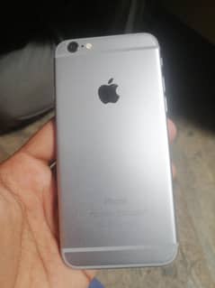 iPhone 6