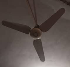 Ceiling Fan 56 Inch