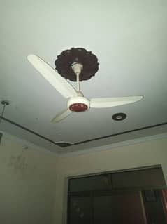 regal fan