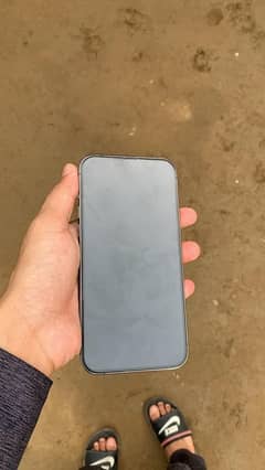 13 pro max