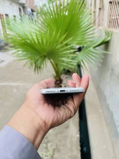 iPhone se 2020 water pack