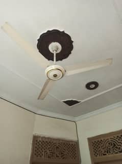 milat fan