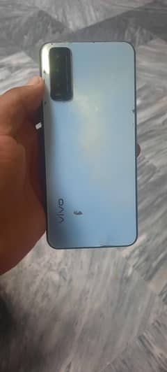 vivo