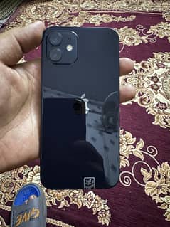 Apple iPhone 12