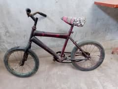Medium Cycle.