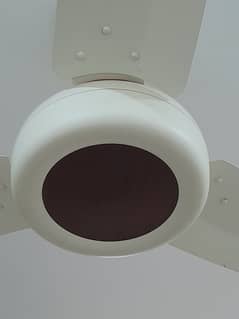 Pak Ceiling Fan 56" (Decora Deluxe) 3 fans for sale