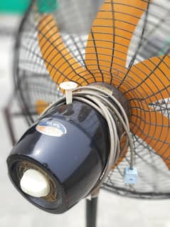 Pedestal Fans For Sale