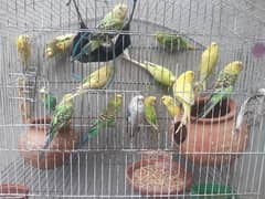 8 pair 2 bchy total 18 with cage and metki