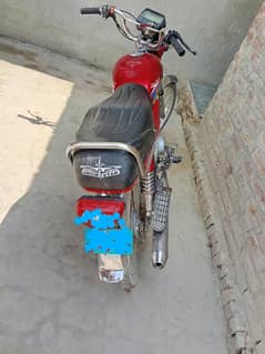 sindh