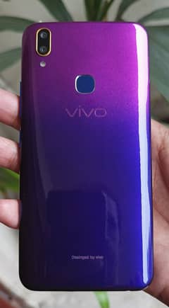Vivo